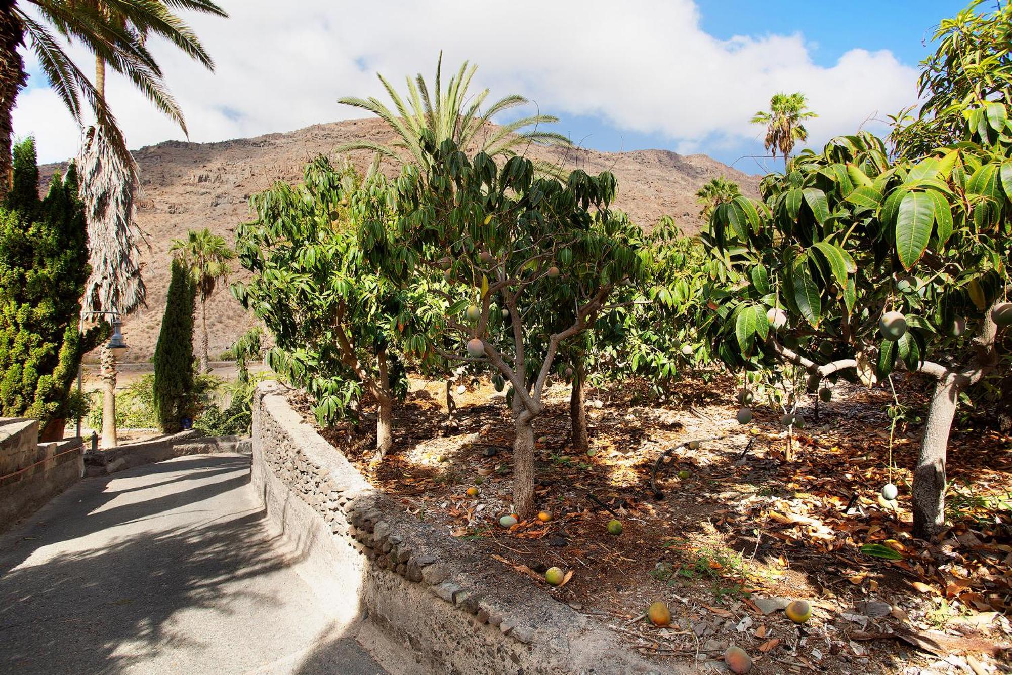El Granero Paraiso Del Molinero Mogán Exterior foto